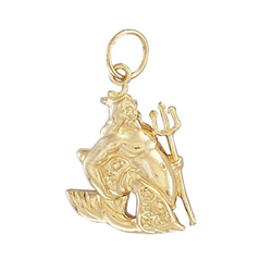 9ct Yellow Gold Aquarius Zodiac Pendant